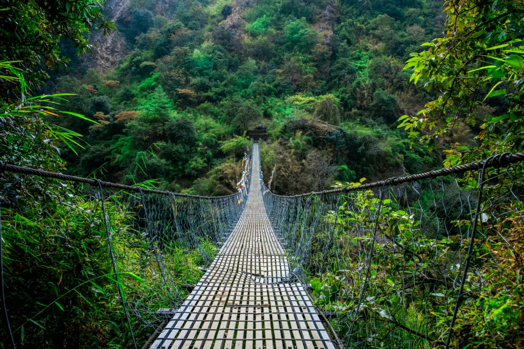 Suspension bridge beside lush landscapes along the Langtang Valley Trek, Nepal.