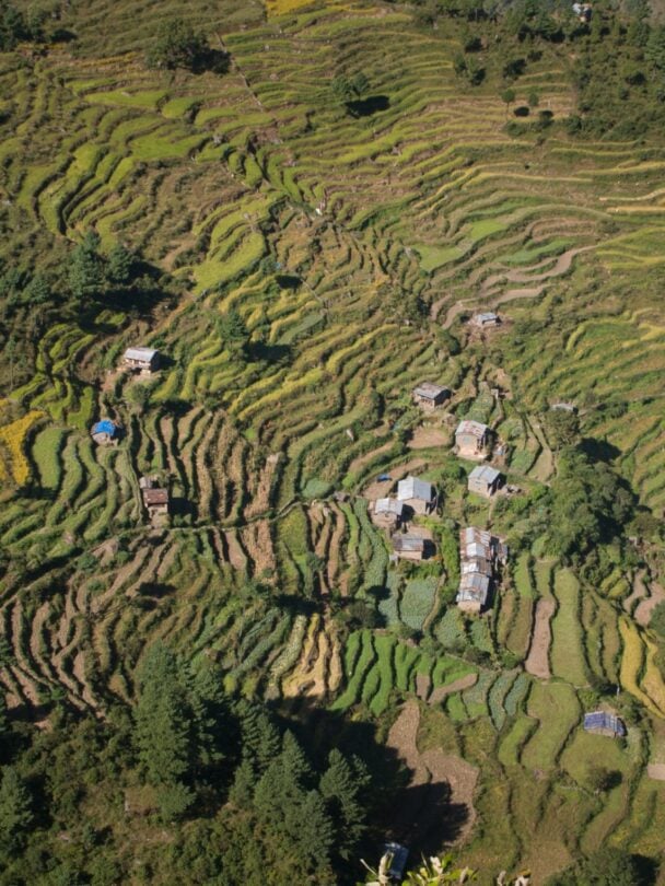 Langtang Valley Trek: Hidden Gem of the Himalayas.