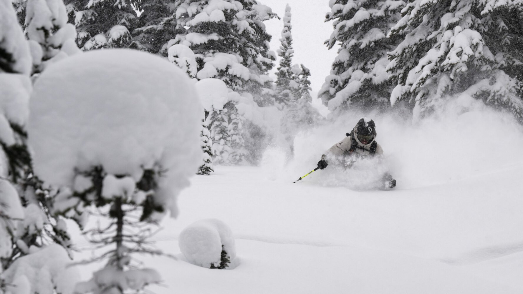 A backcountry skier tree skiing near Purcell Mountain Lodge, near Golden.