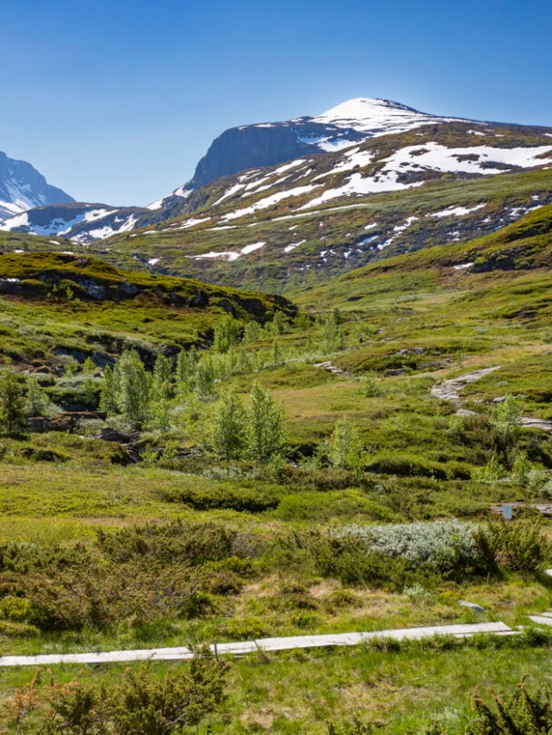 Climbing course in Jotunheimen, Norway