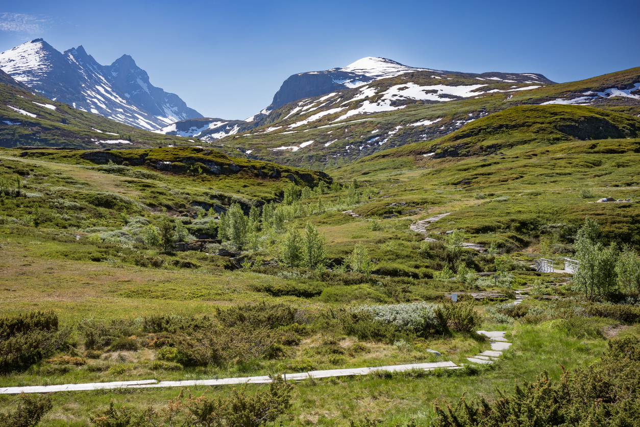 Turtagro surroundings in Norway