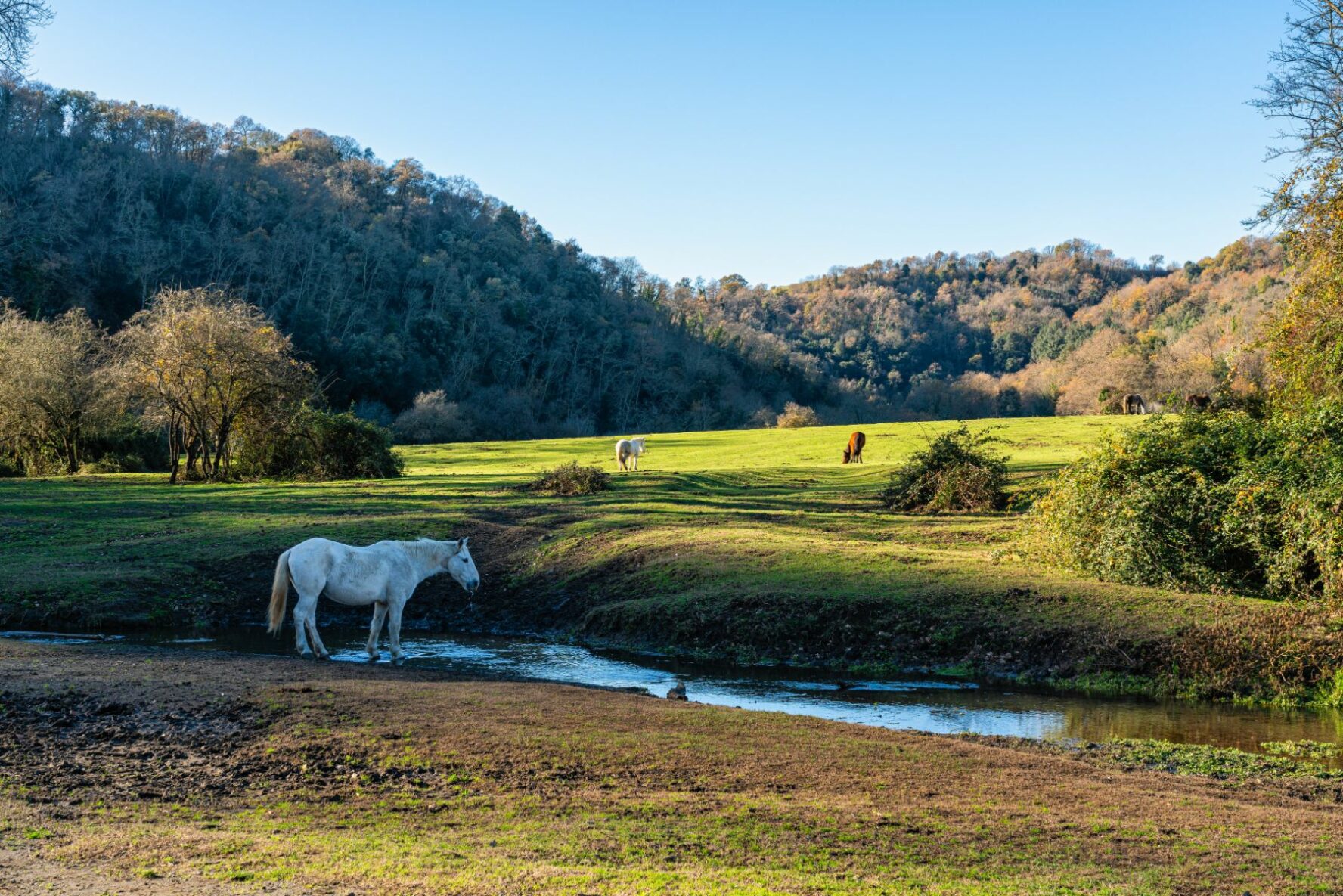 Veio Park, by a river, in Lazio, Italy.