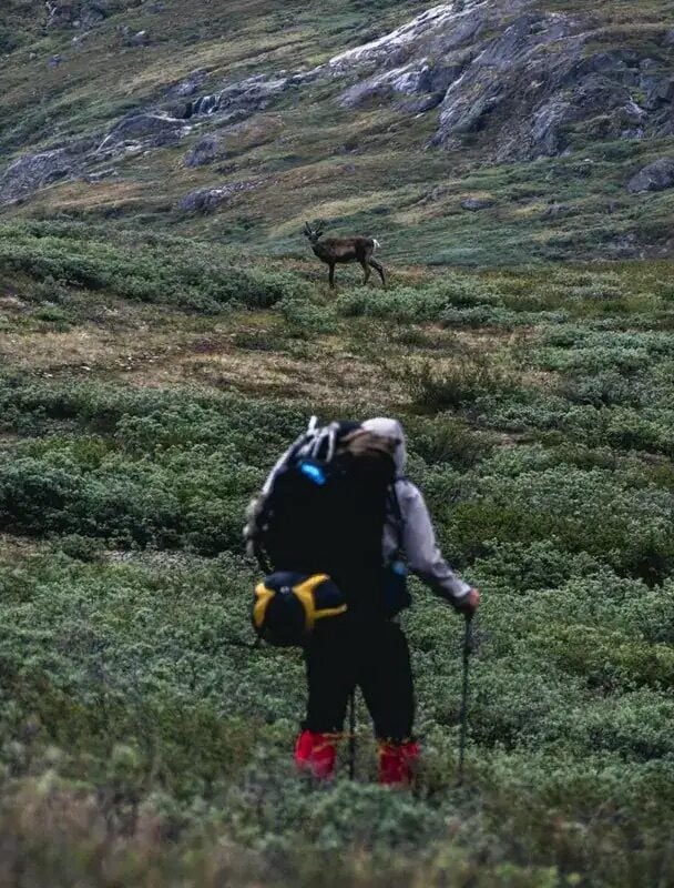 Hikers on the Arctic Circle Trail