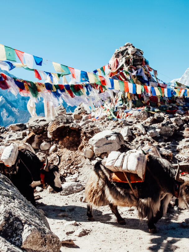 Hike the Epic Manaslu Trek