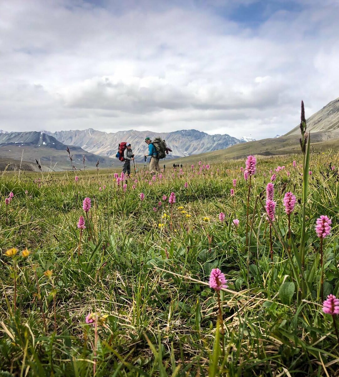 Backpacking the Gates of the Arctic National Park 57hours