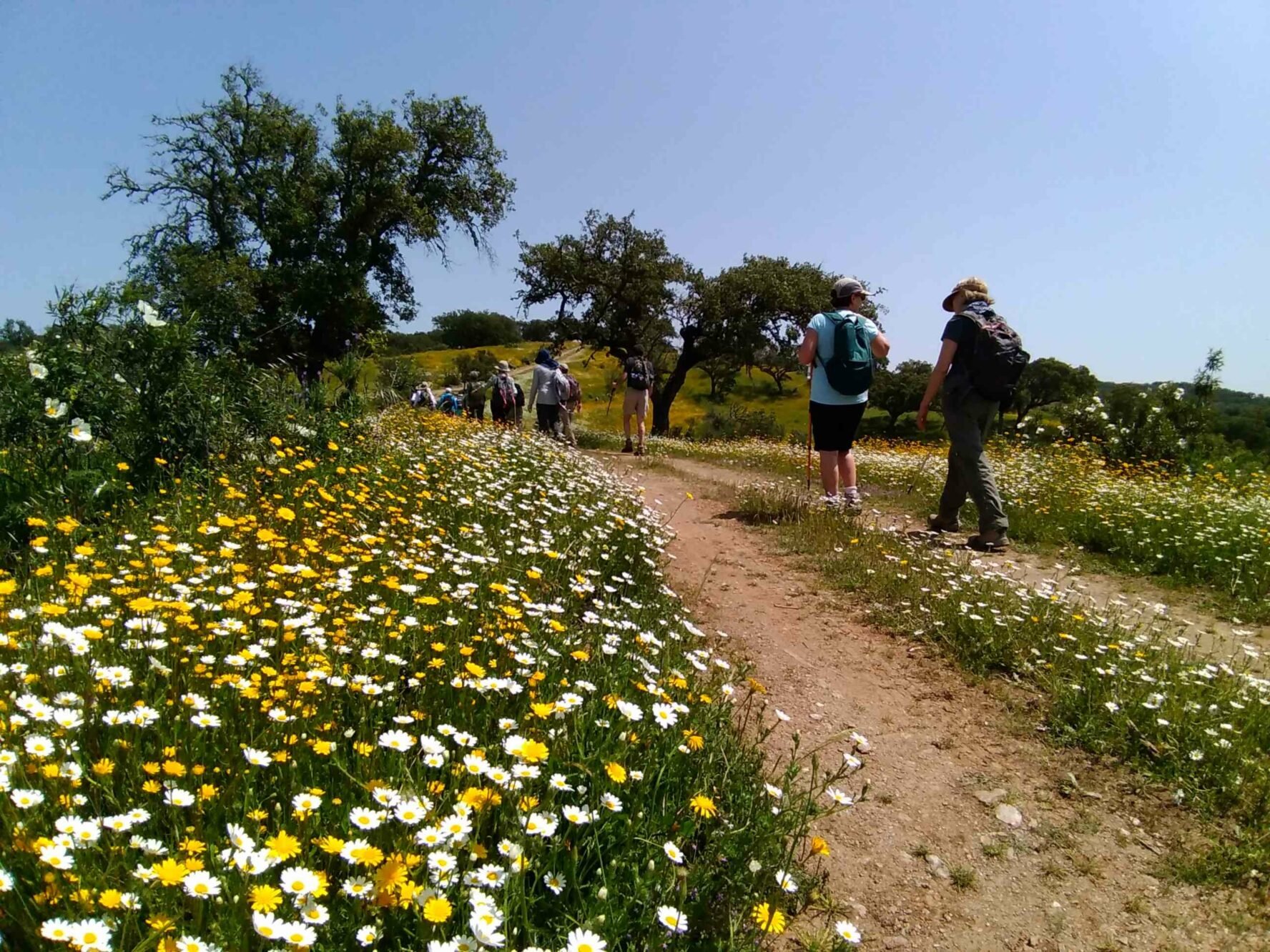 Blooming flowers and hikers in Portugal