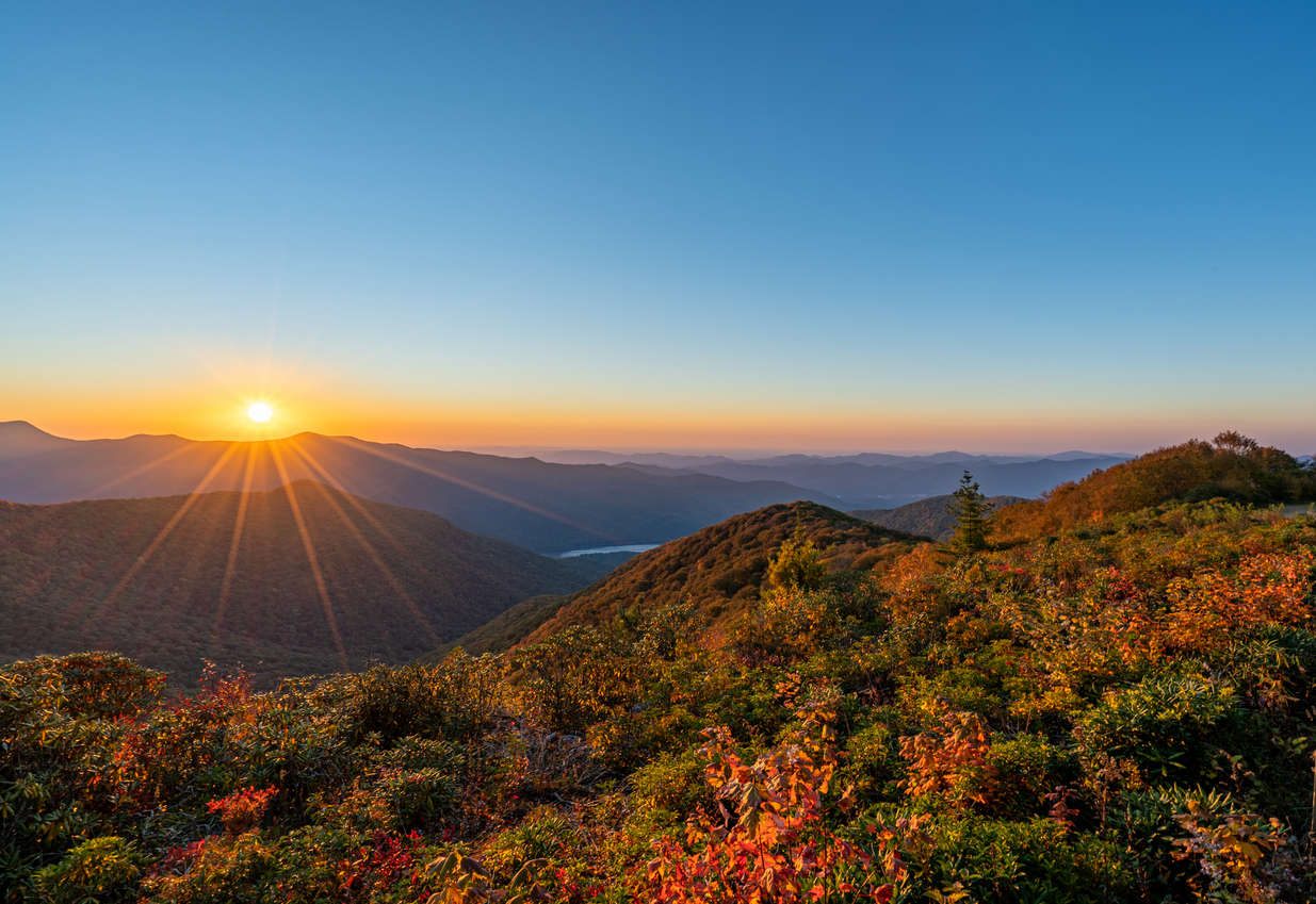 Beautiful fall foliage with a vibrant sunrise on the Blue Ridge Parkway Craggy Gardens area near Asheville North Carolina USA