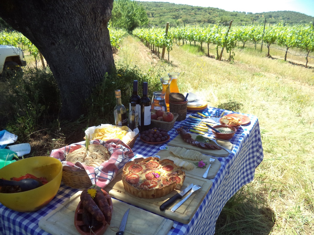 Delicious picnic display in Portugal