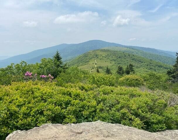Roan Highlands AT Backpacking