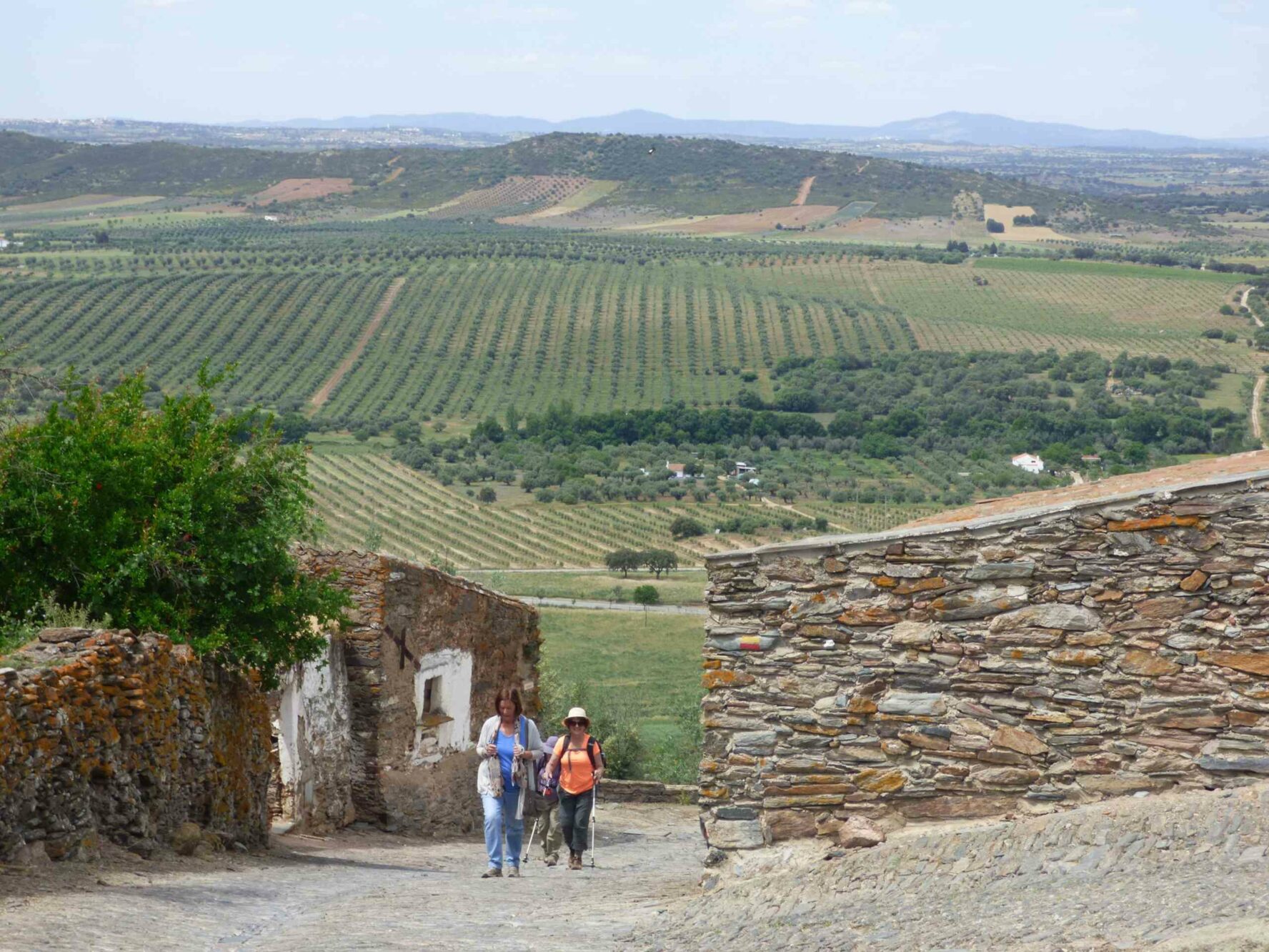 Group of hikers in Portugal near Evora