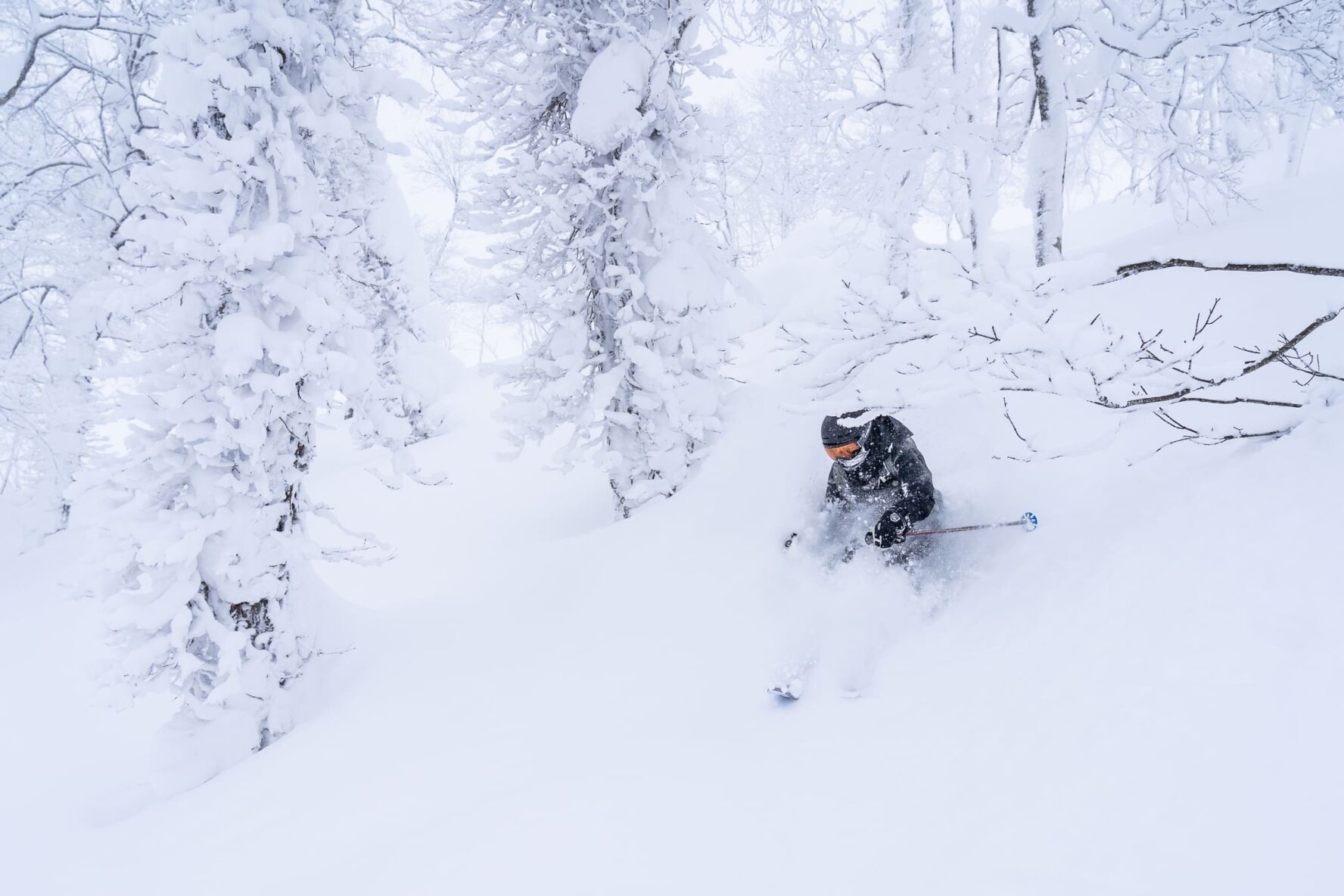 Heaps of powder in Japan