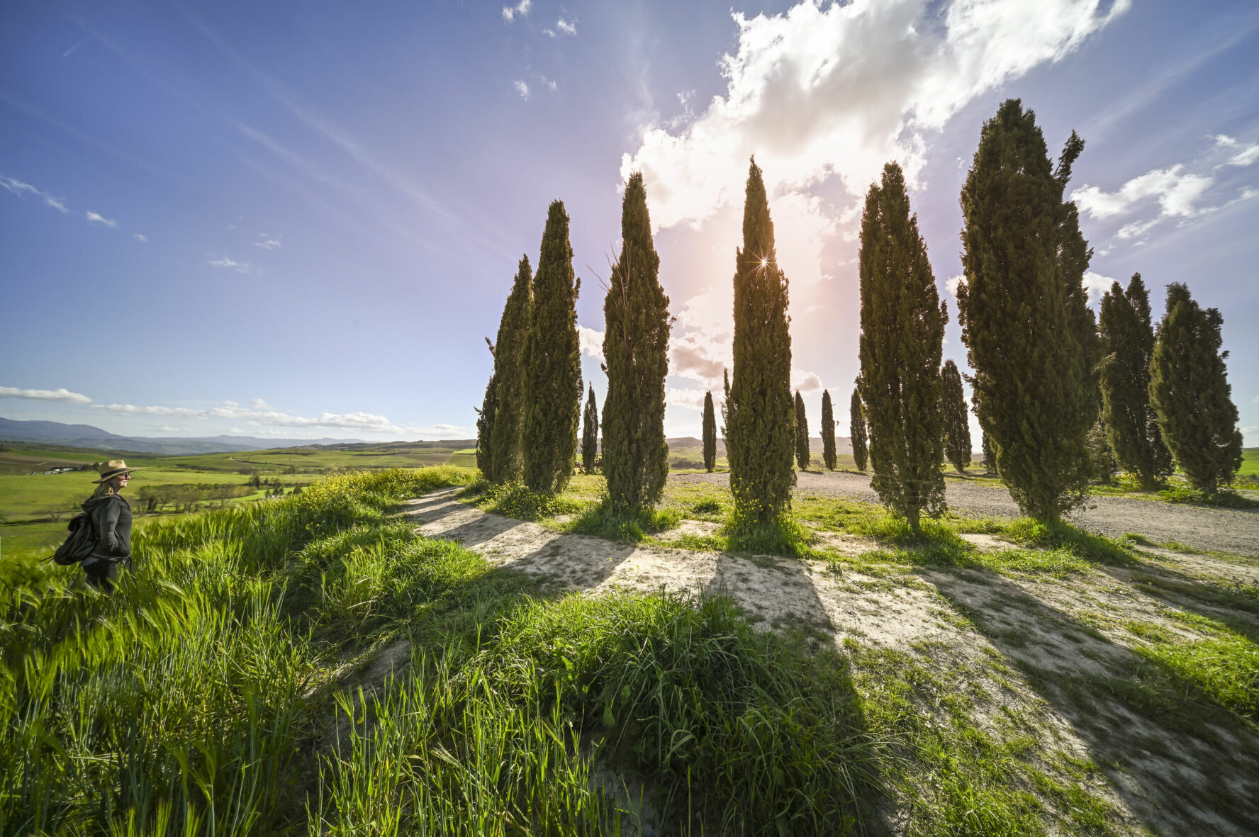 Hiker looking at distinctive Tuscan cypresses, in Val d’Orcia.