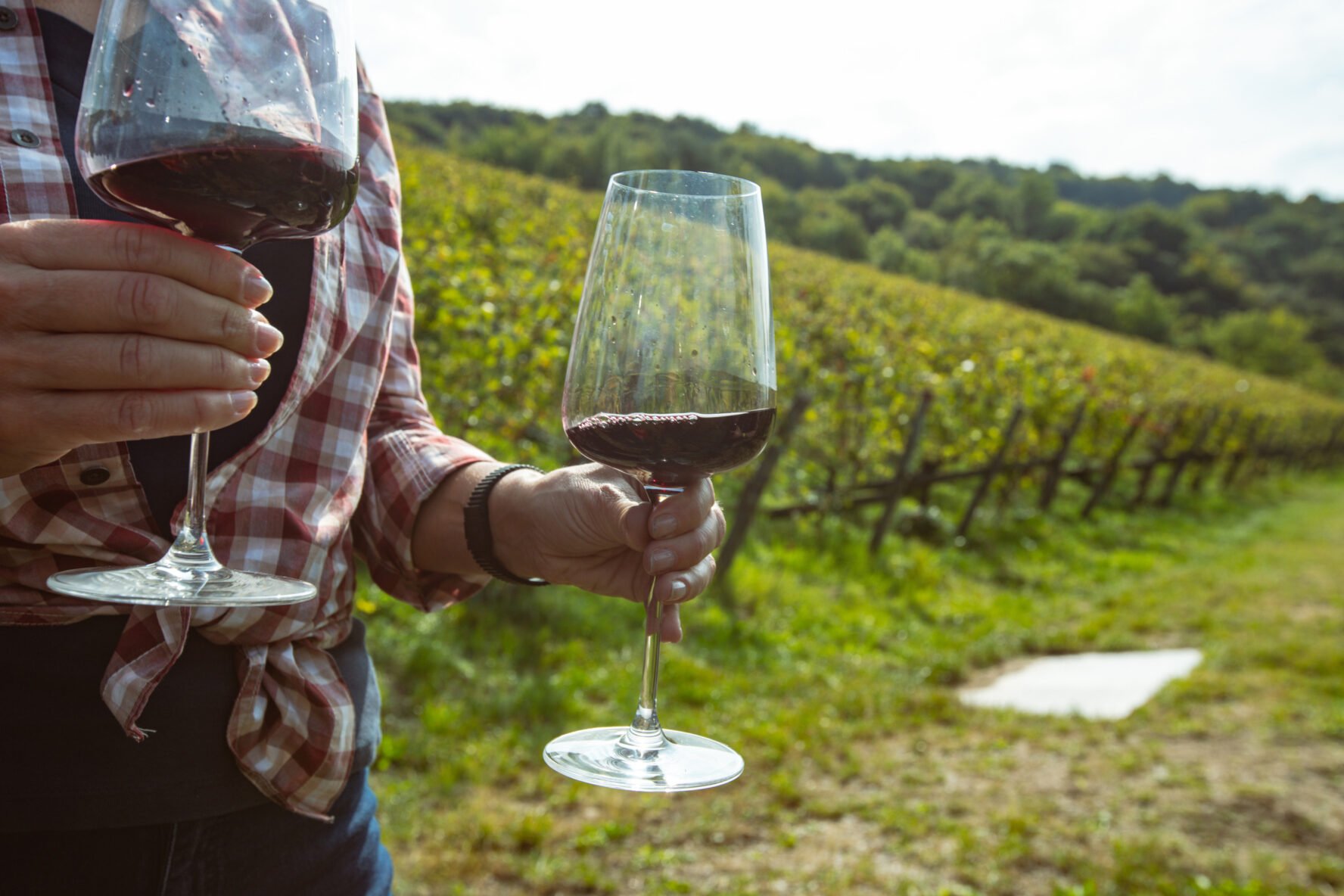 A man holding two wine glasses with wine, in Val d’Orcia.