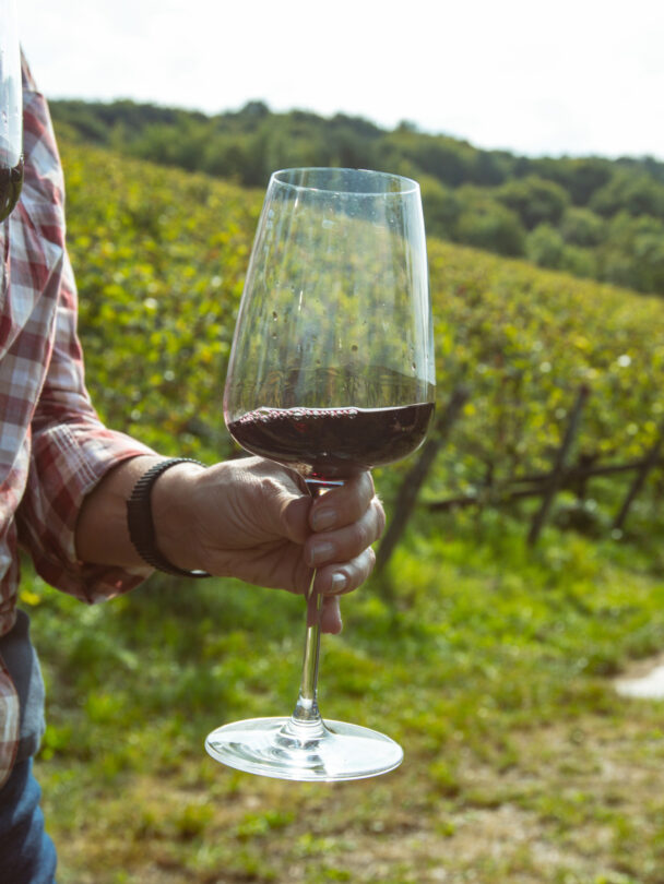 Val d’Orcia Tour: Week of Hiking in Tuscany.