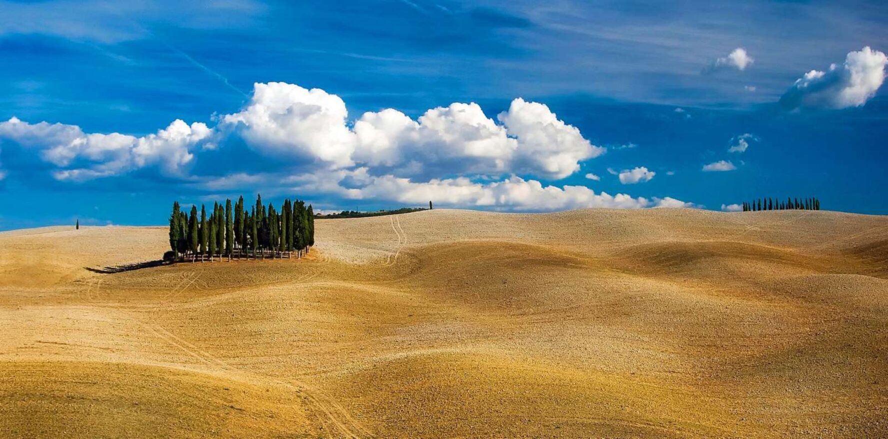 Ochre fields and cypresses in Val d’Orcia, Tuscany.