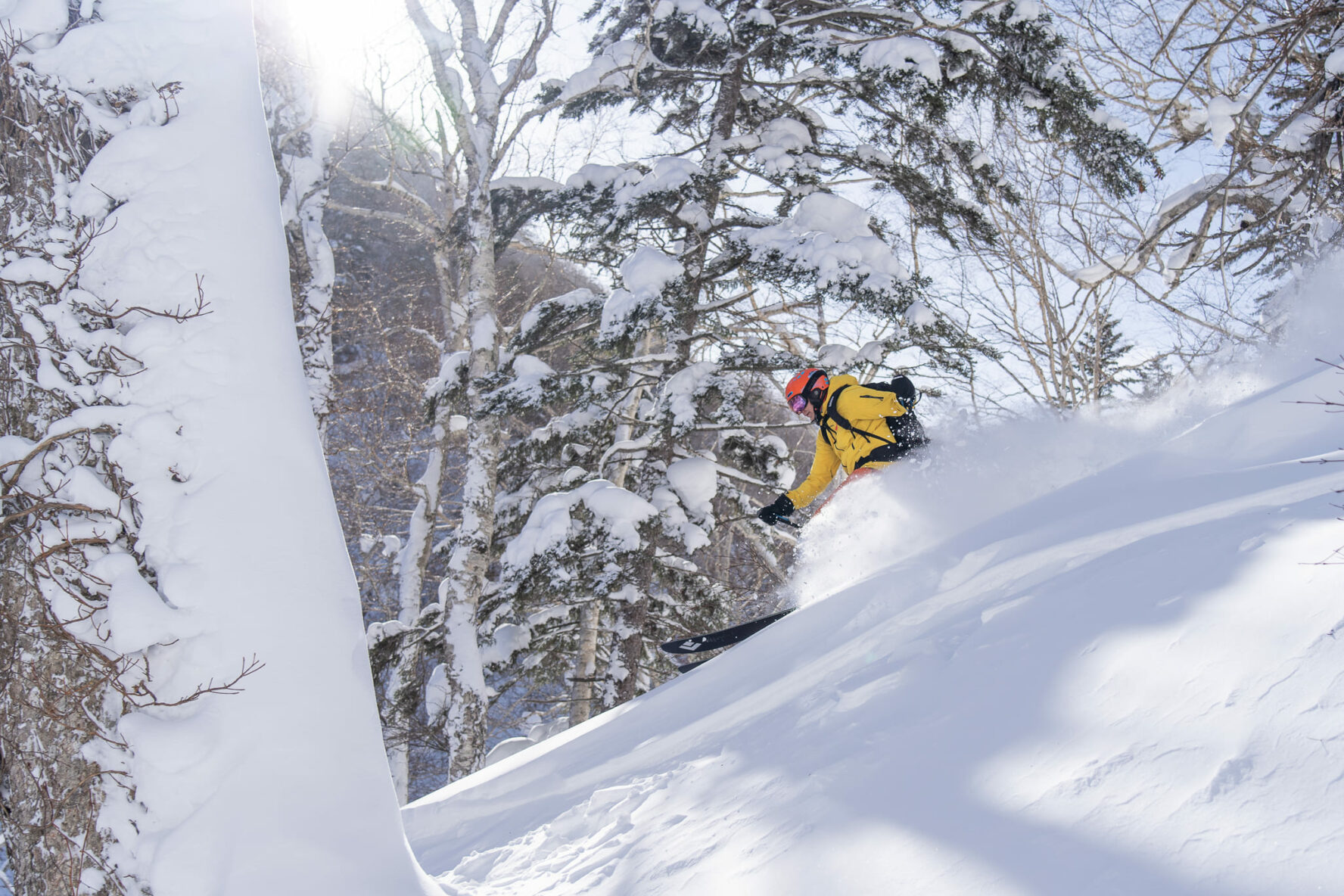 Skier zooming down in Hokkaido