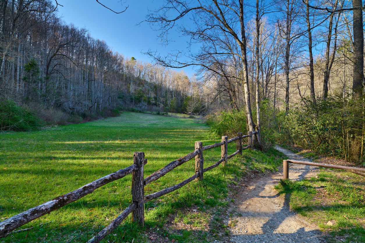 Hiking trail in Pisgah National Forest North Carolina.
