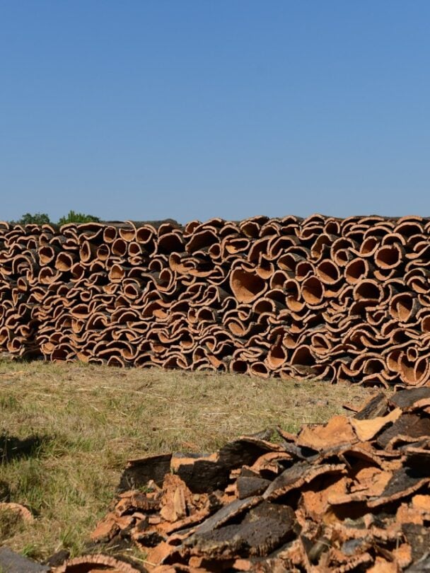 Guided walking holidays in Portugal