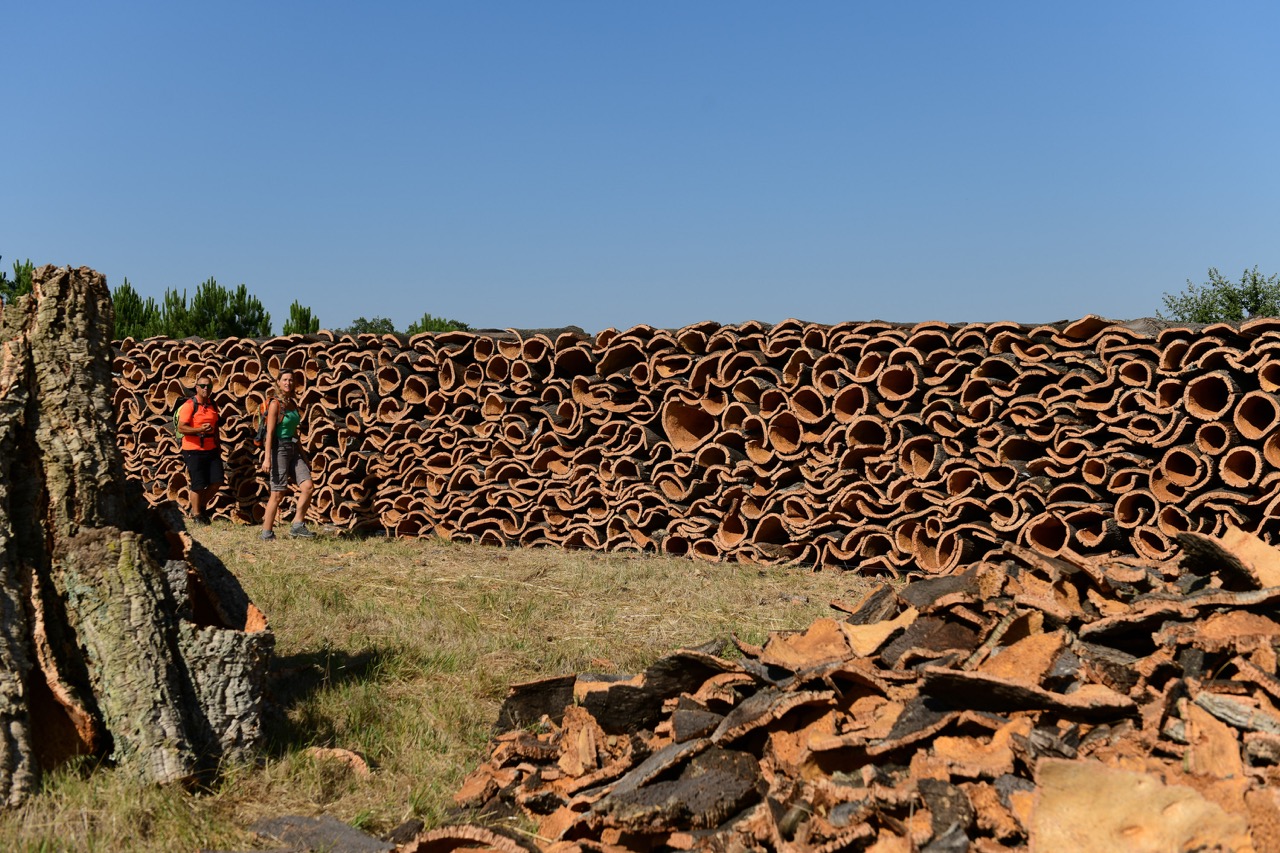 Two hikers on walking holidays in Portugal