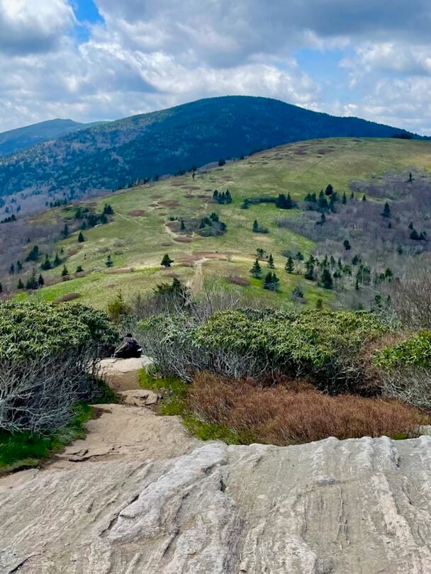 Roan Highlands AT Backpacking