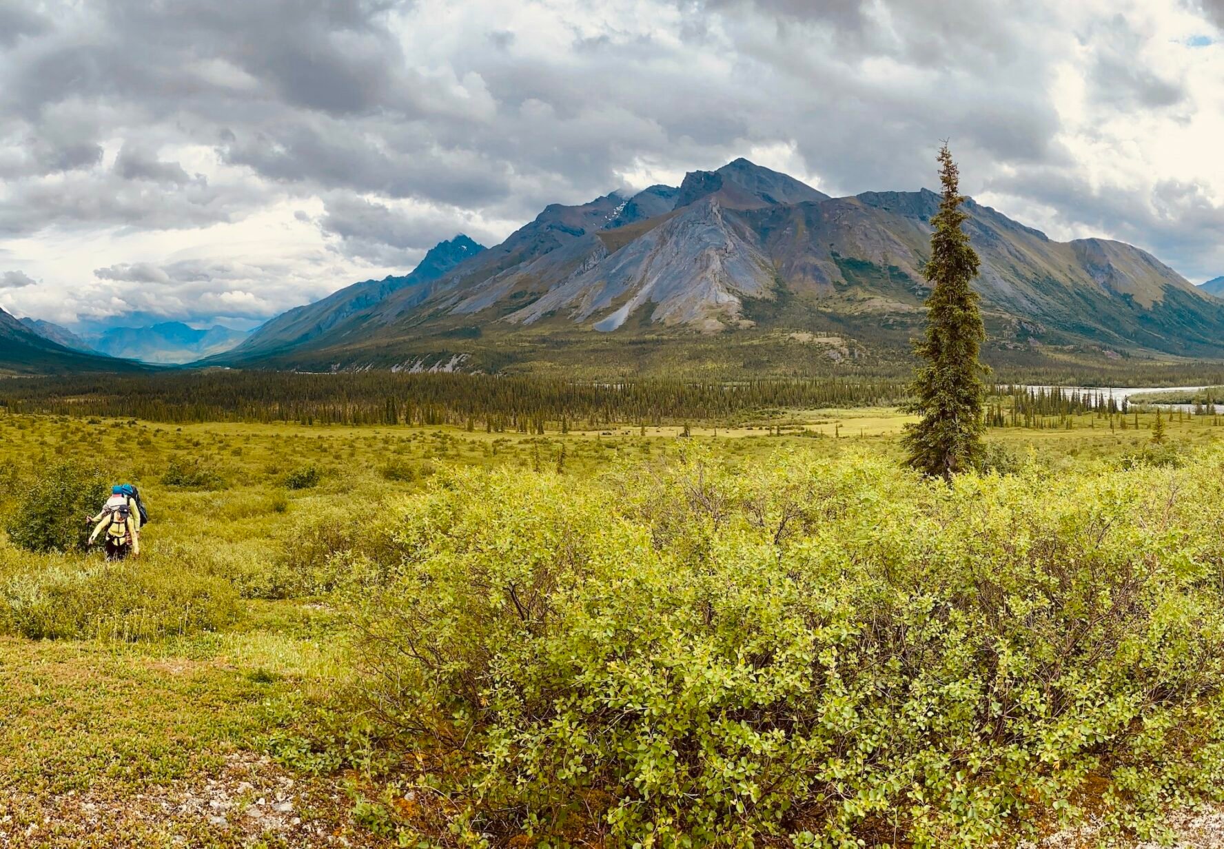 Wilderness gates of the Arctic