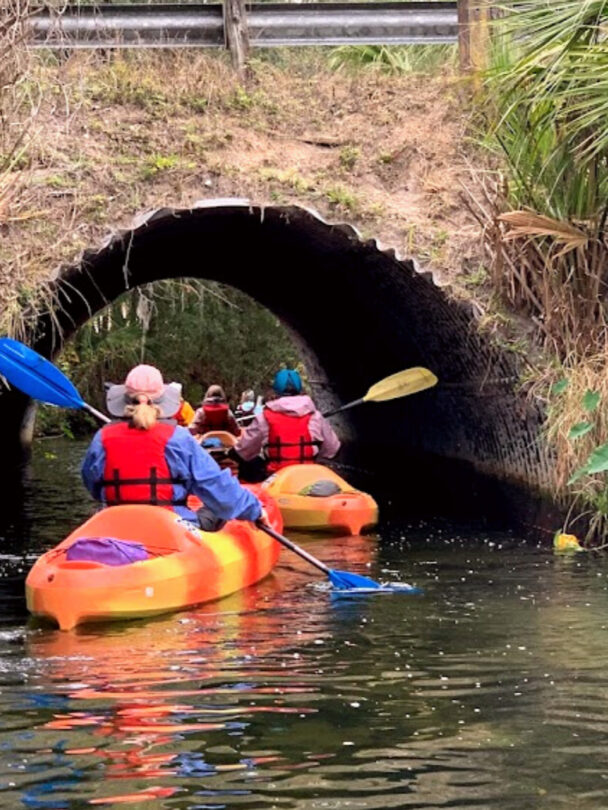 Kayaking in Homosassa Springs
