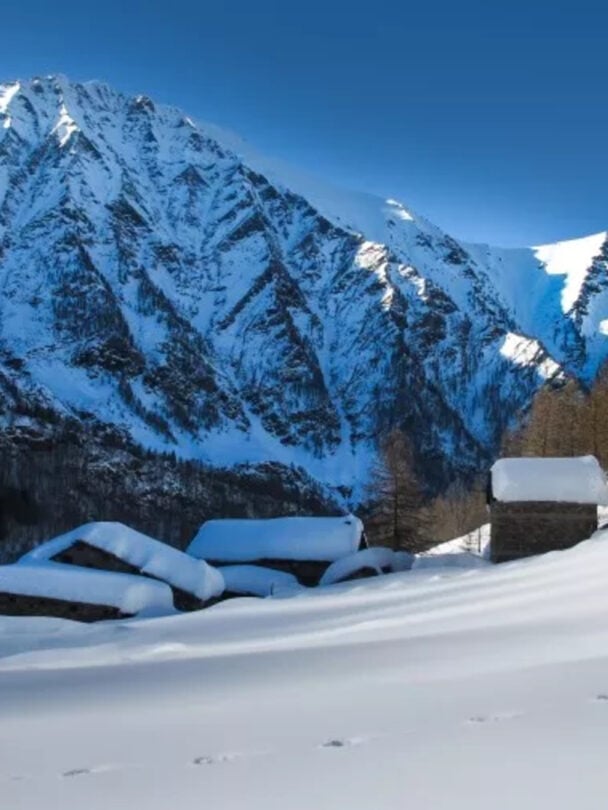 Freeriding Adventure in the Alps: La Grave & Surrounding Areas.