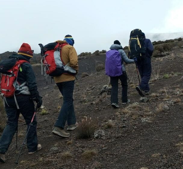 Guided Kilimanjaro Trek Via Lemosho Route