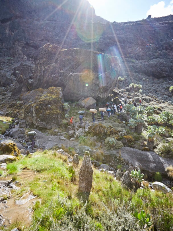 Kilimanjaro Trek Via Machame Route