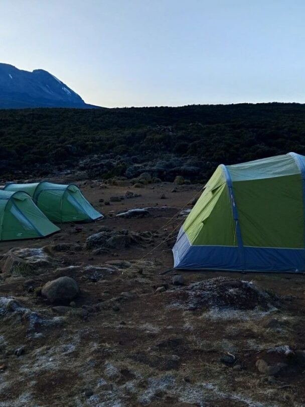 Guided Kilimanjaro Trek Via Lemosho Route