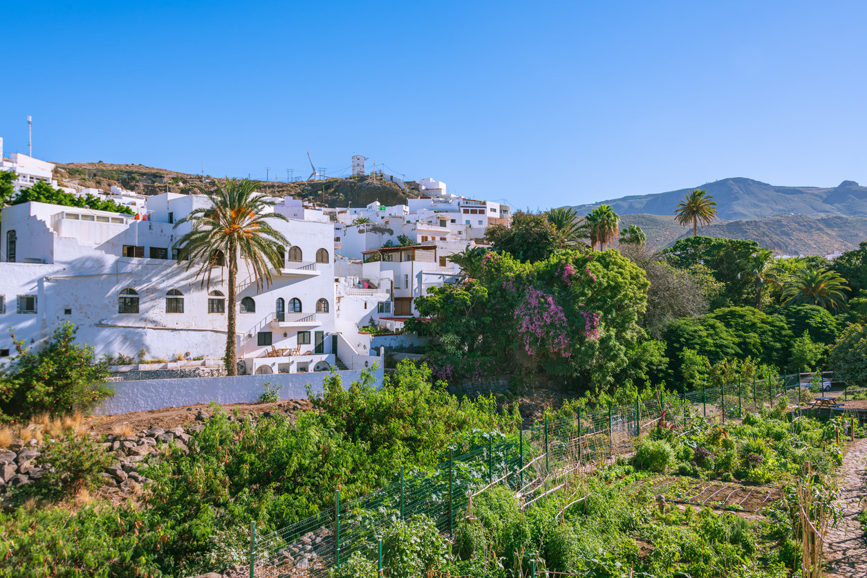 Charming Agaete town, Gran Canaria Small Vegetable Garden In Agaete, Gran Canaria