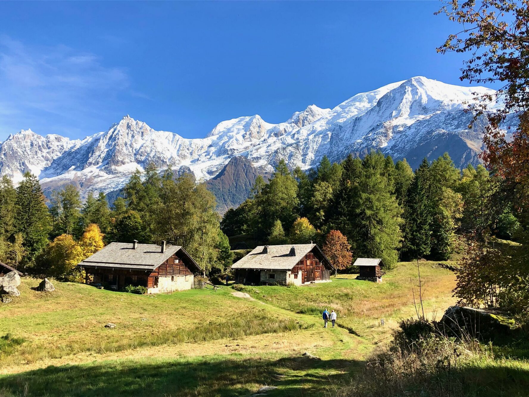 View of Mont Blanc mountains from a pasture in the Chamonix area, Charousse.