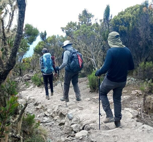 Guided Kilimanjaro Trek Via Lemosho Route