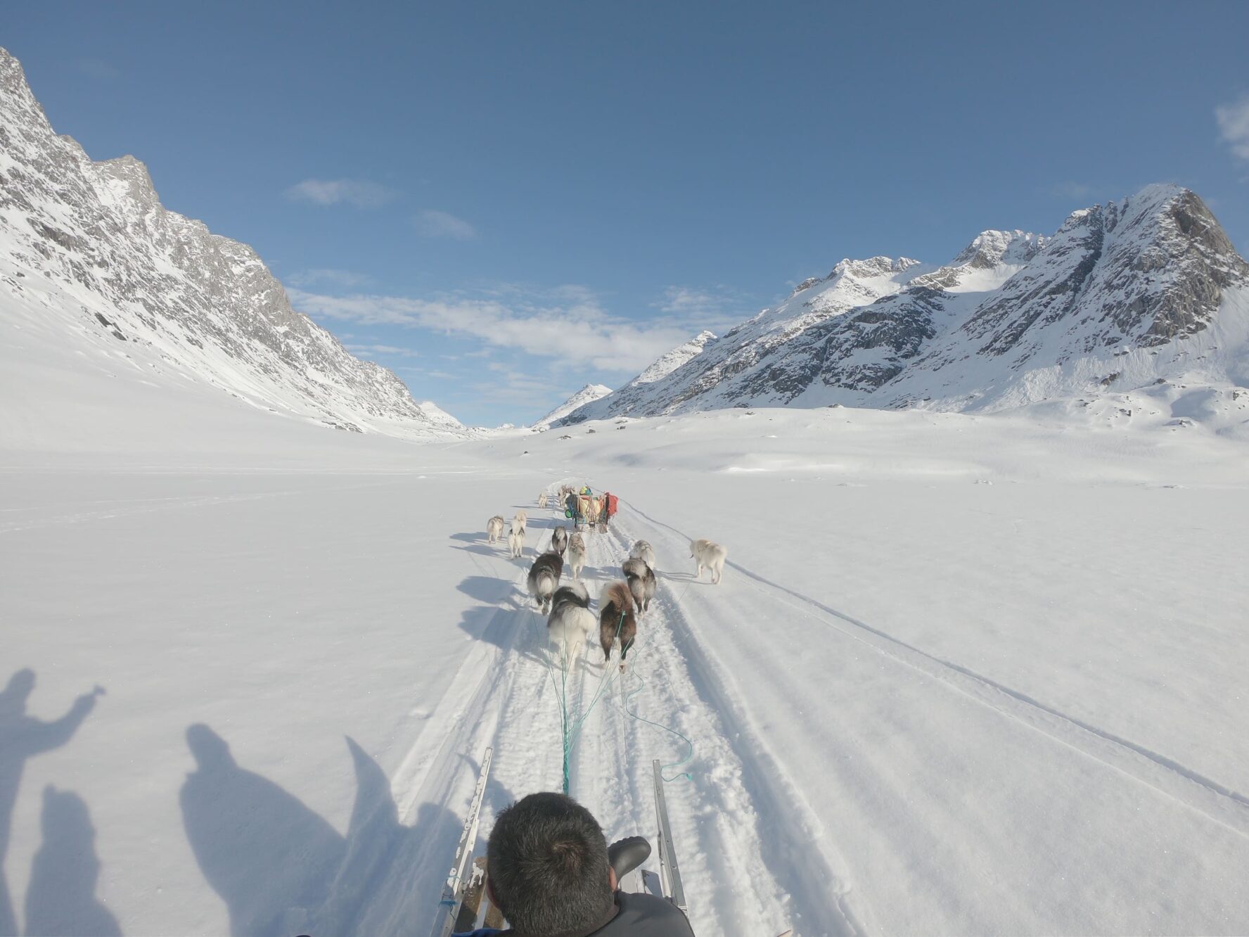Dogsled, East Greenland