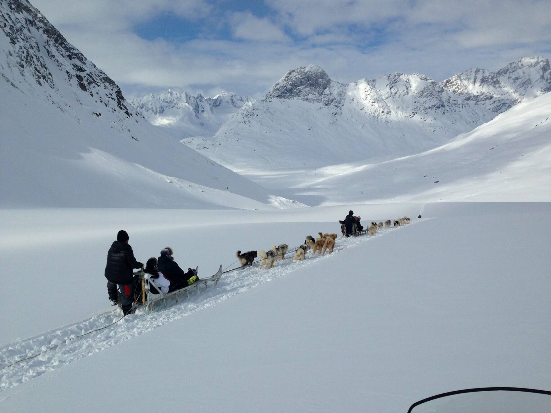 East Greenland sled dogs