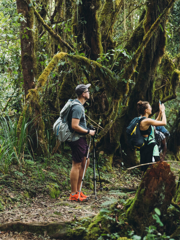 Guided Kilimanjaro Trek Via Lemosho Route