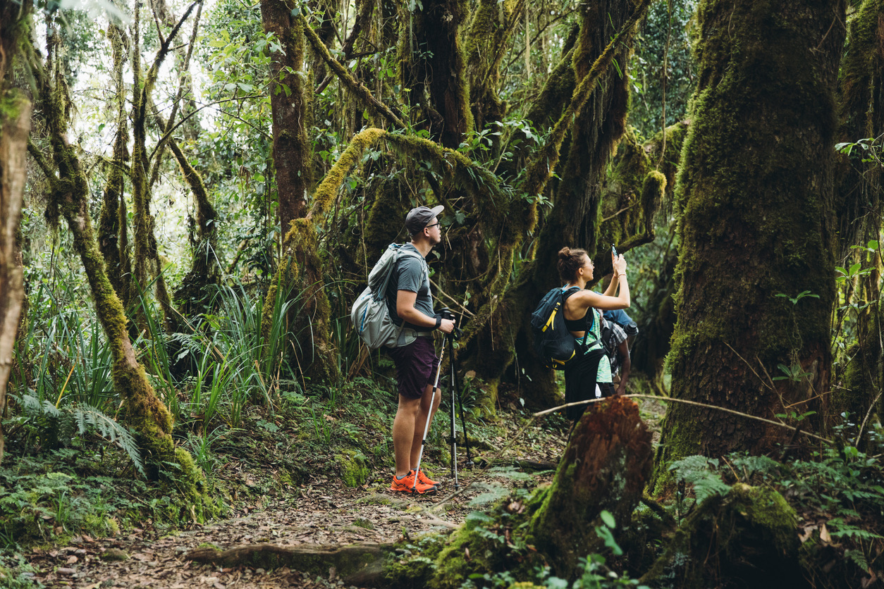 Young woman and man hikers exploring the beautiful rainforest on Kilimanjaro National park