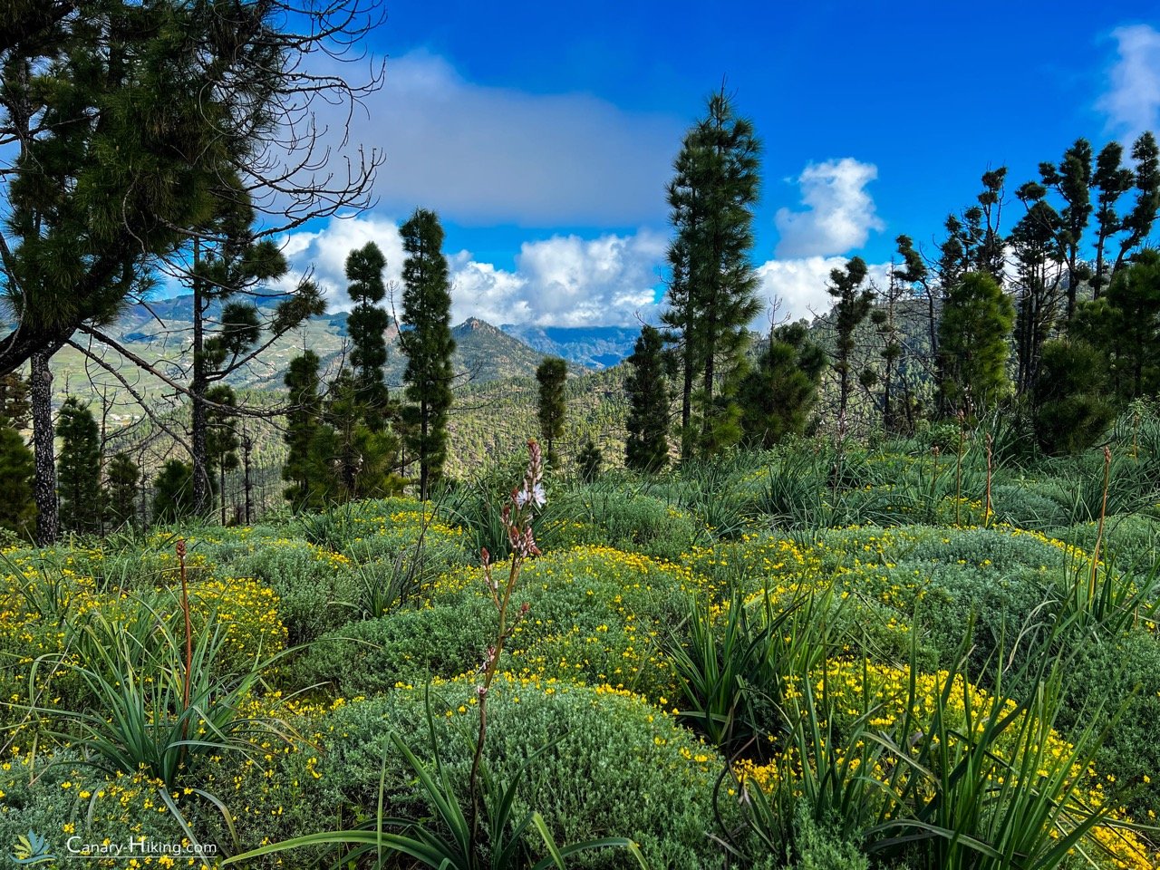 Hiking to Artenara, Gran Canaria