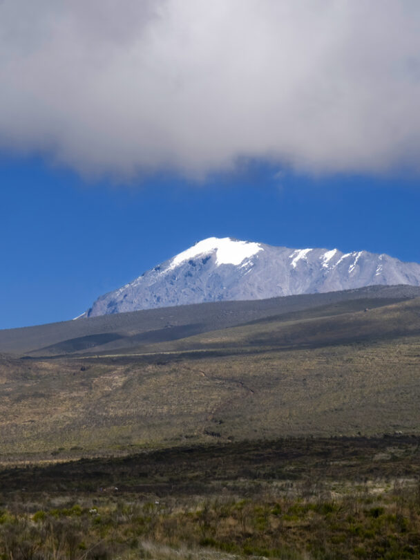 Guided Kilimanjaro Trek Via Lemosho Route