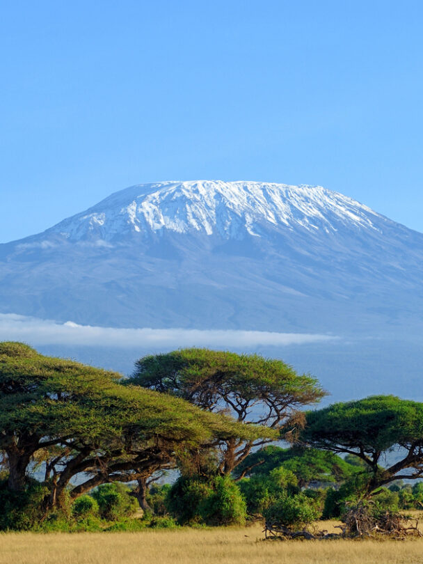 Guided Kilimanjaro Trek Via Lemosho Route