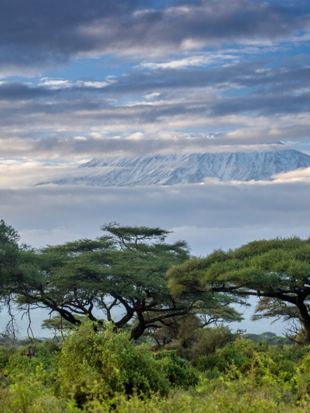 Kilimanjaro Trek Via Machame Route