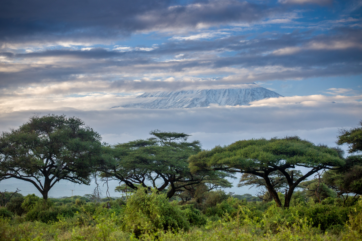 Magnificent Mount Kilimanjaro during sunrise