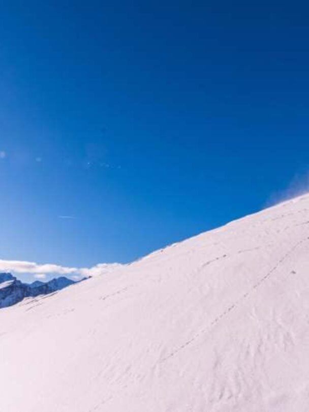 Freeriding Adventure in the Alps: La Grave & Surrounding Areas.