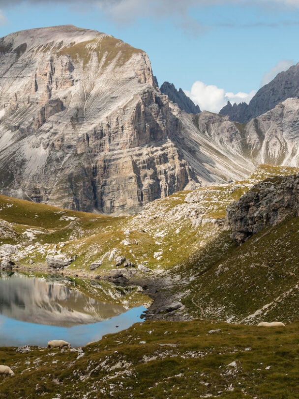 Hiker near Passo Rolle, Alta Via