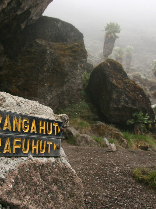 Kilimanjaro Trek Via Machame Route