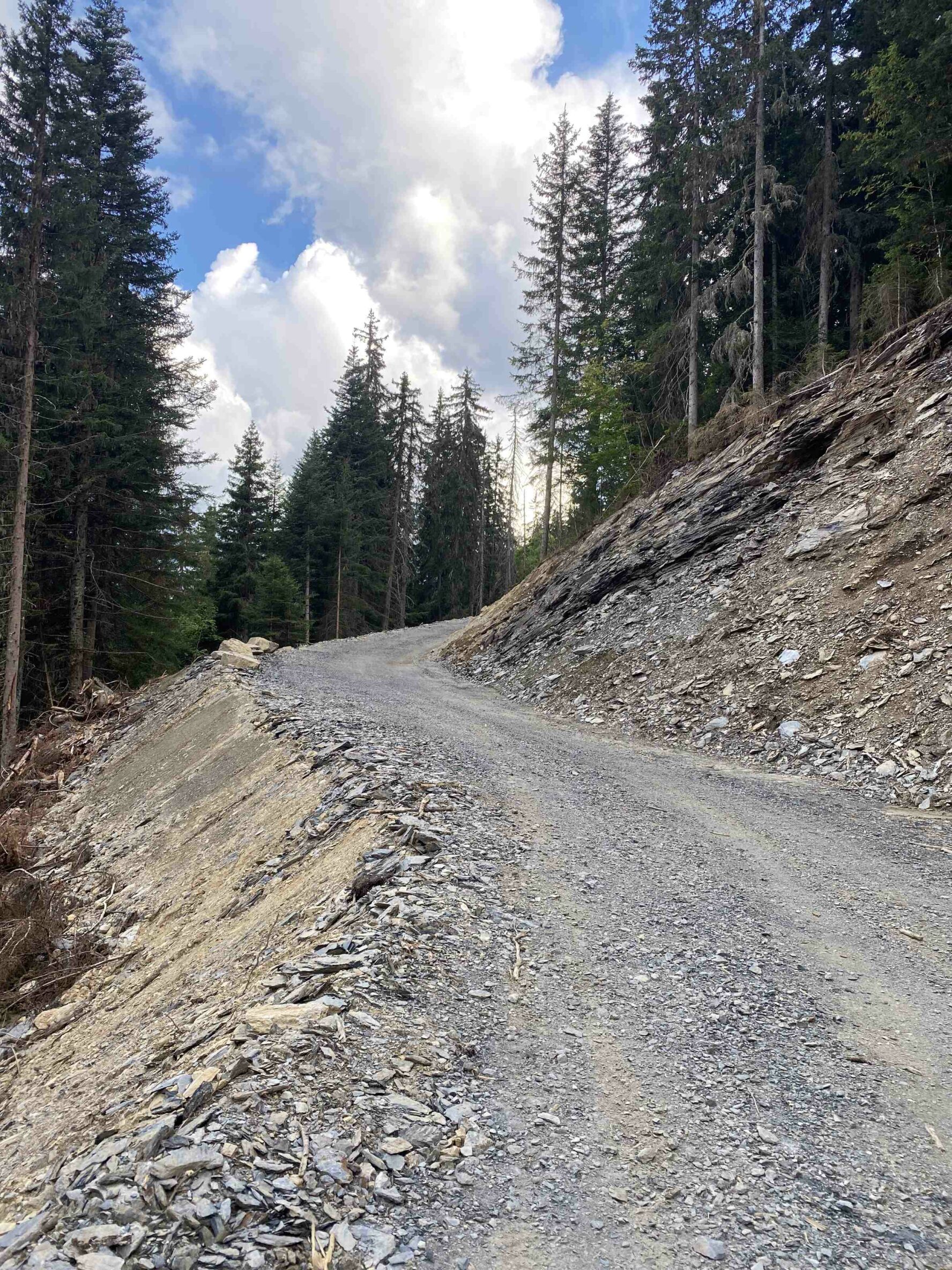 Gravel MTB track in the Chamonix area.