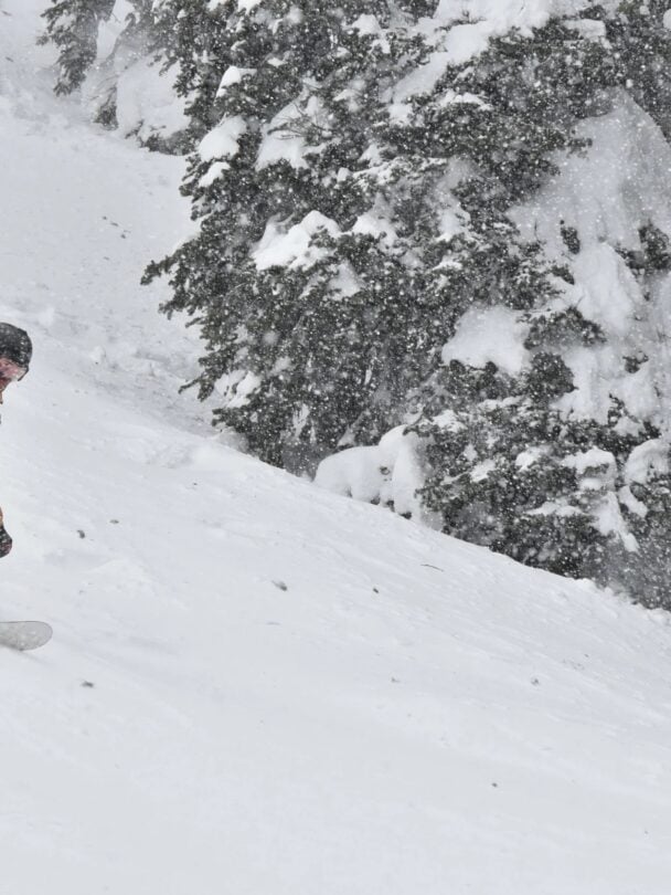 powder highway skier