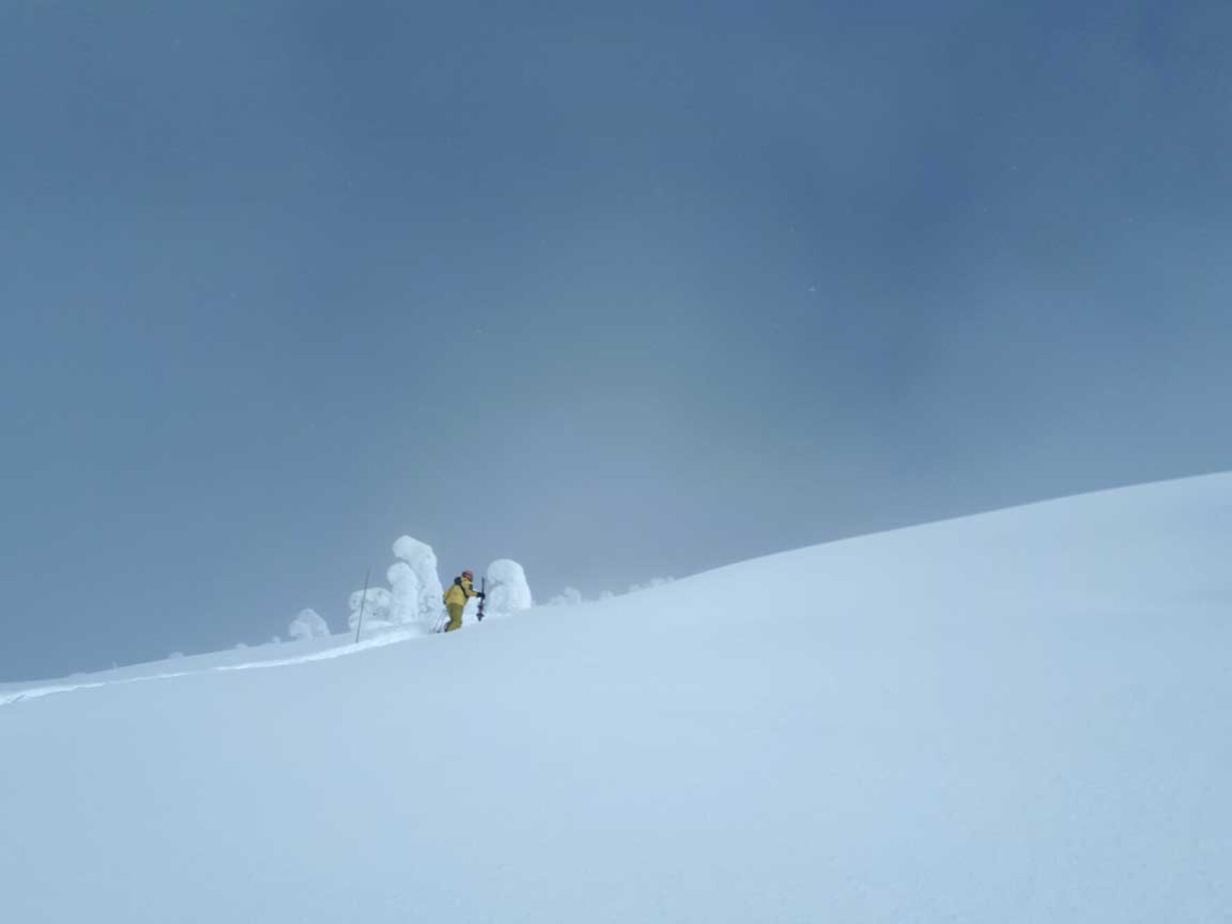Skier reaching the top of a perfect off-piste ski run in BC, Canada.