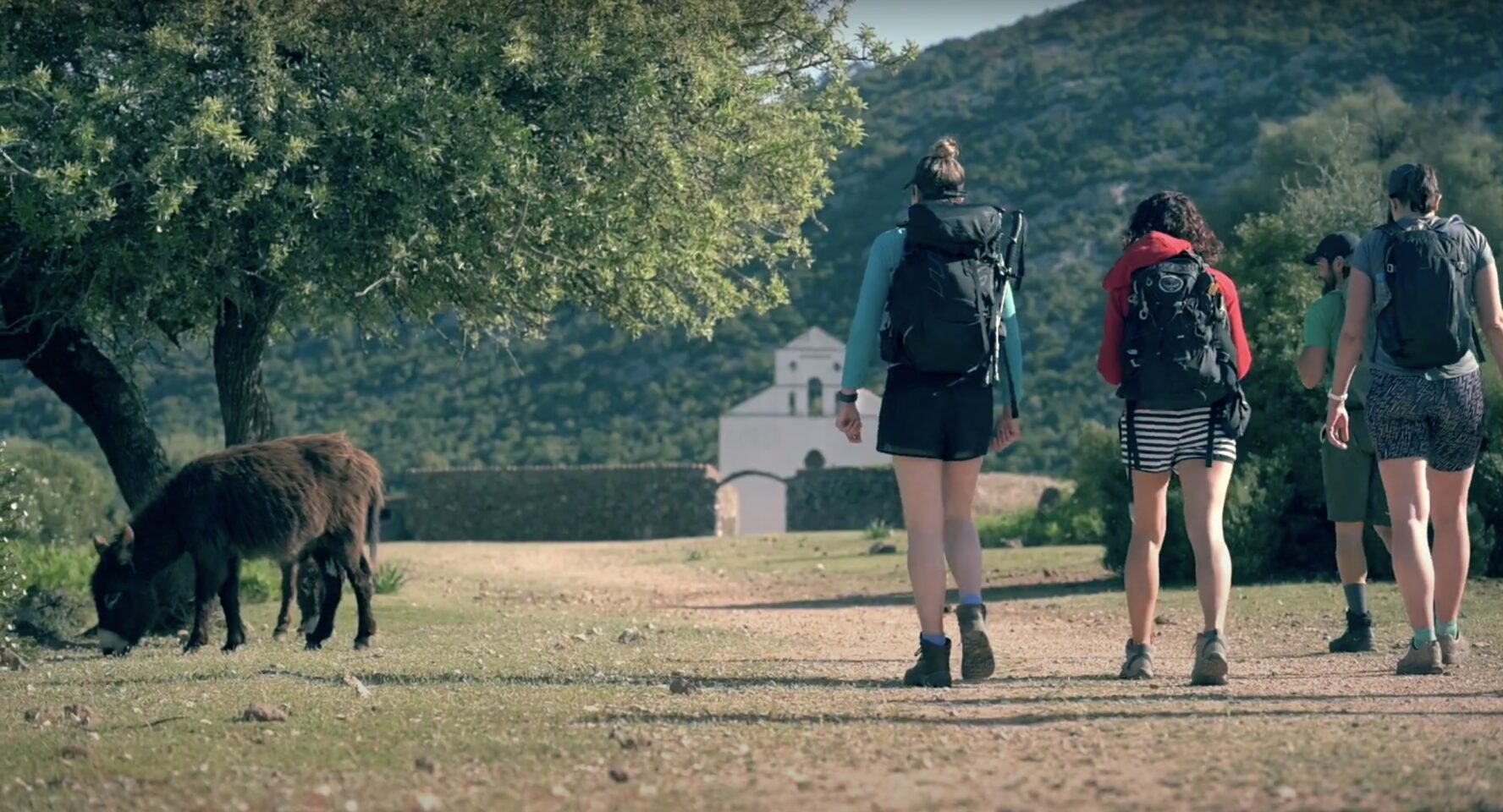 Sardinia hiking group and a donkey