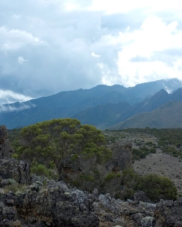 Guided Kilimanjaro Trek Via Lemosho Route